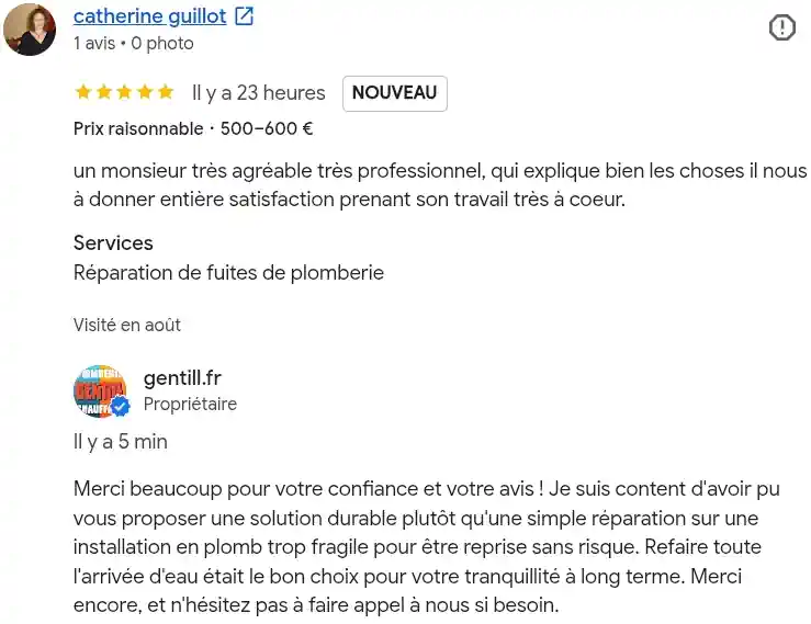 Avis client google